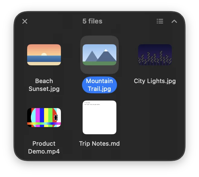 An expanded shelf holding five files in a grid, with one selected